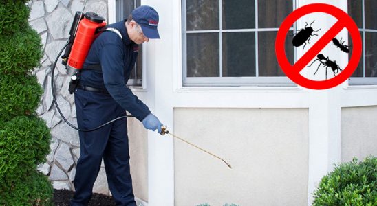Akkışla Bit İlaçlama böcek ilaçlama ve haşere kontrolü — ilaclama-tr.com